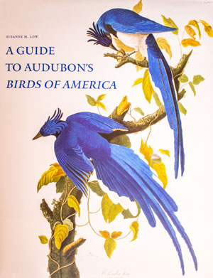 book cover: A Guide to Audobon's Birds of America