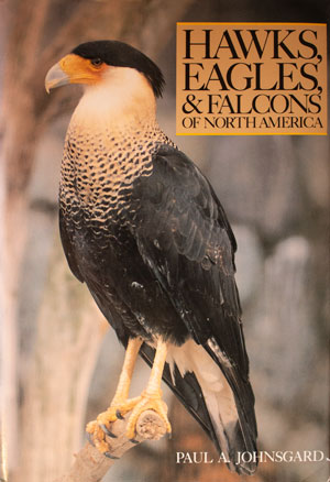 book cover: Hawks, Eagles, and Falcons of North America